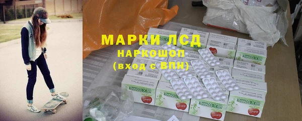 ГАЛЛЮЦИНОГЕННЫЕ ГРИБЫ Новозыбков