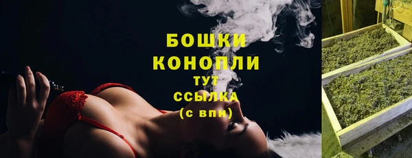 ГАЛЛЮЦИНОГЕННЫЕ ГРИБЫ Новозыбков
