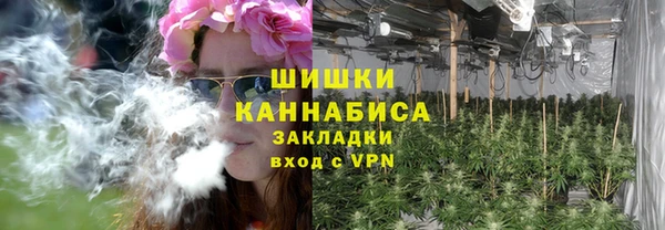 ГАЛЛЮЦИНОГЕННЫЕ ГРИБЫ Новозыбков
