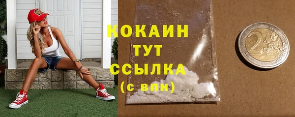 ГАЛЛЮЦИНОГЕННЫЕ ГРИБЫ Новозыбков