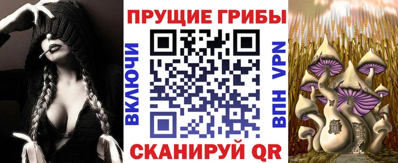 Псилоцибиновые грибы ЛСД  Купить  Дагестанские Огни 